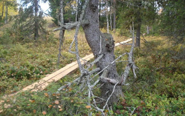 Toola-Lodge