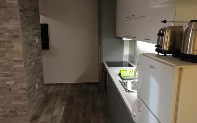 Apartment Oasis BANOVO BRDO-ADA CIGANLIJA
