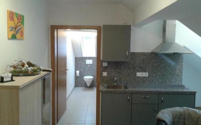 DZT-Schwarzwaldhotel garni