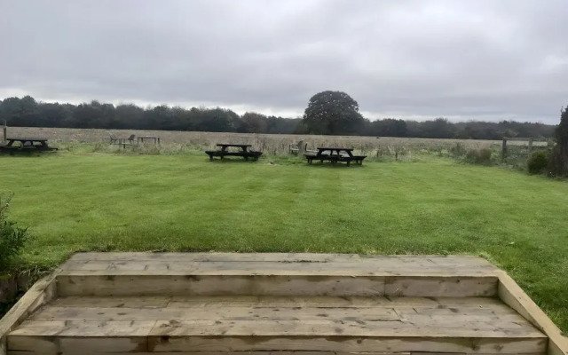 The Chilterns Fox