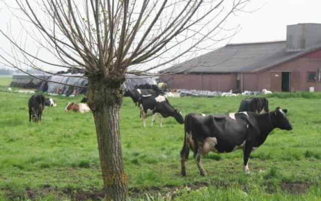 Camping De Grienduil