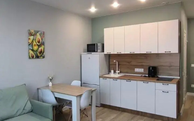 Apartments on Dusi Kovalchuk street 248/1