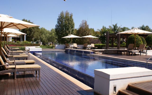 Kievits Kroon Gauteng Wine Estate