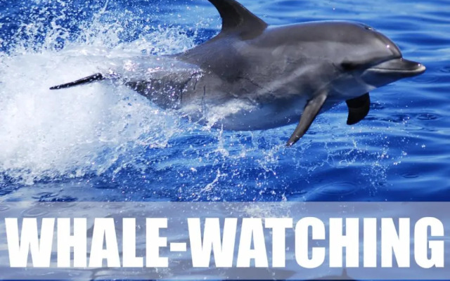 Ocean house & perfect for you