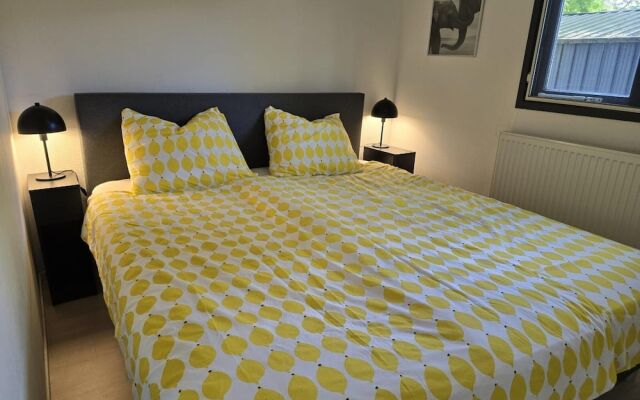 Home in the Dancing Forest