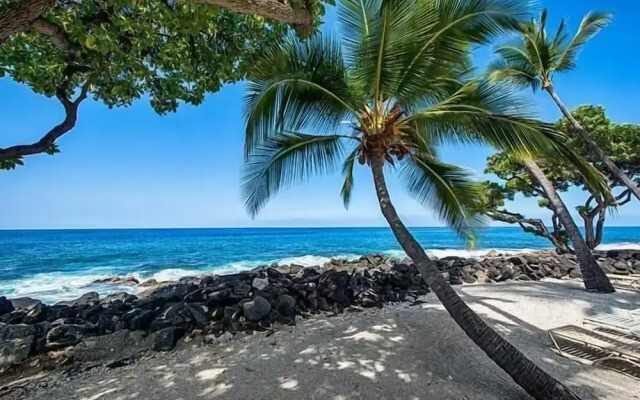 Kona Isle C24