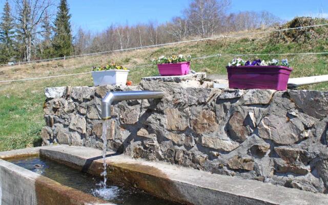 Gîte Lavoine, 5 pièces, 6 personnes - FR-1-489-332