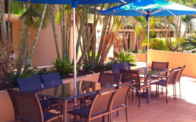 Chevron Palms
