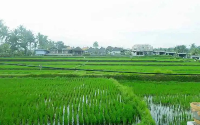Tantra House Ubud