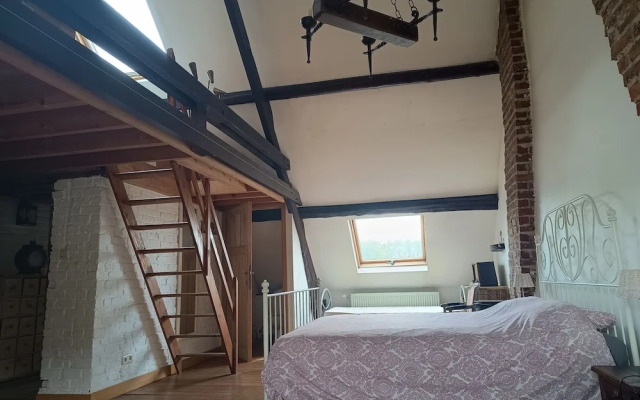 La maison des chiens