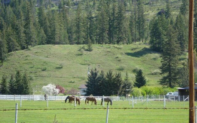 Mountain Springs Motel & RV Park