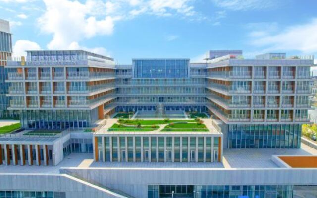 Stargale's Collection