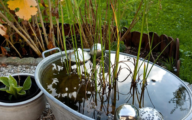Stachl-Hof - Chiemgau Karte