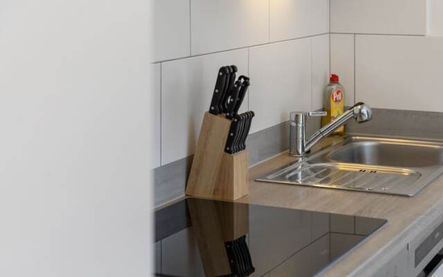 Apartment in Kaprun Near Ski Slopes