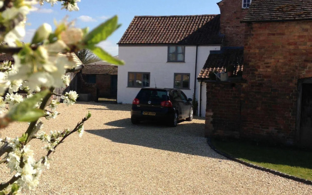 Saul Farm