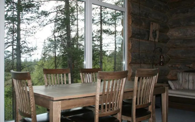 Сияние Севера