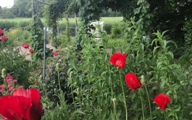 Apartments Herrlichkeit Dornum