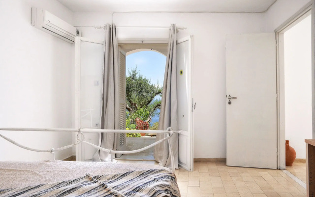 Paxos Blue