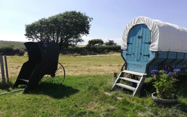 Cowboy Wagon - Campsite