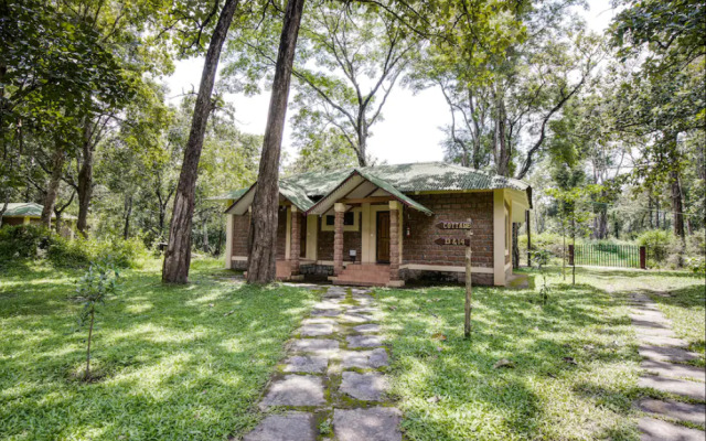 Dubare Elephant Camp