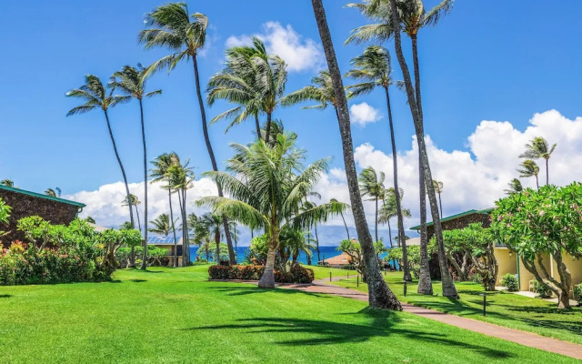 Napili Shores G258 Studio Condo Condo