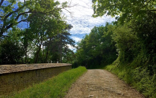 Gite la Maison du Tonnelier, Route des Grands Crus