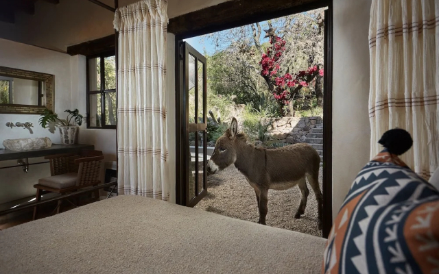 Sagrada Holistic Ranch