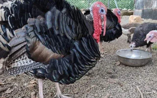 TianJin Outdoors Classy Hotel