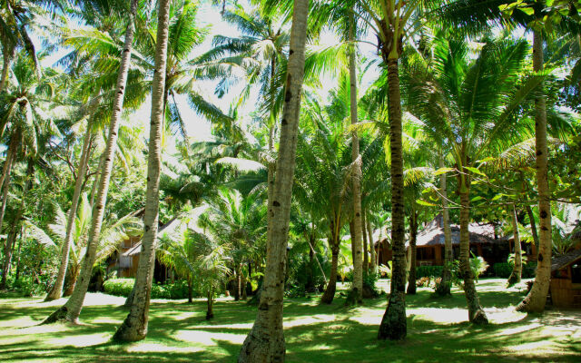 Boracay Huts