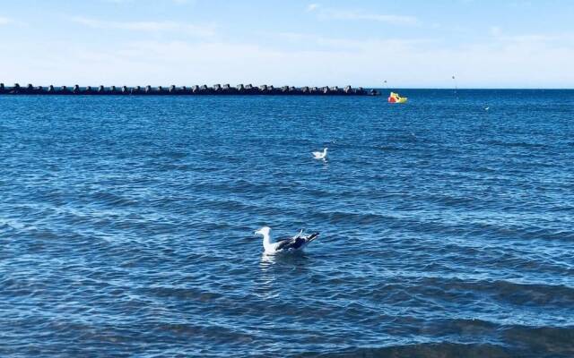 Sunset Beach Zenibako Diva