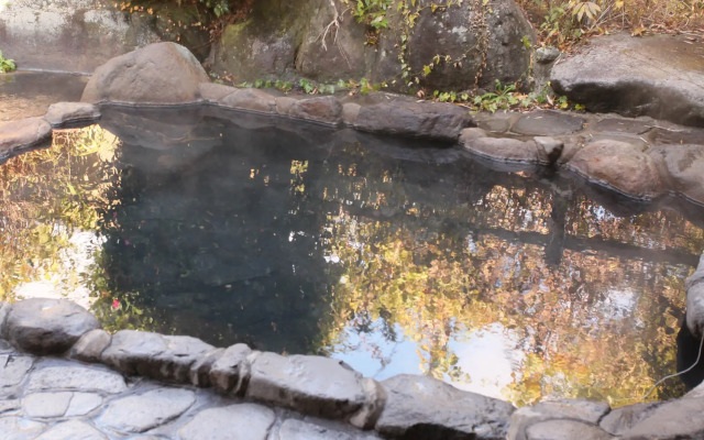 Yamatsubaki