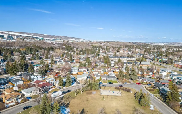 The Owl Petsok 3 Queenbd Firepit 3smarttvs