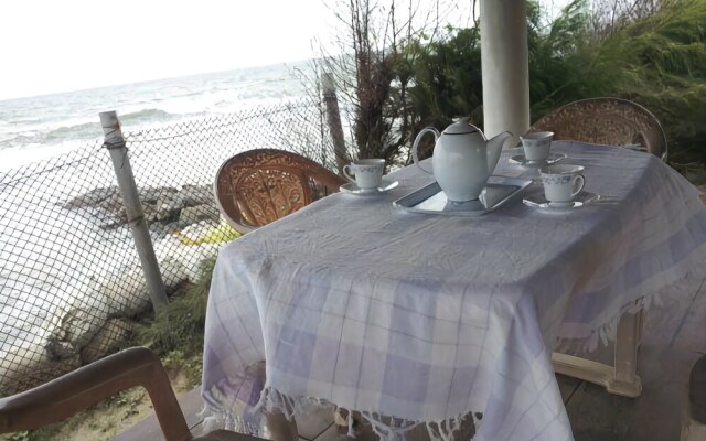 Beach House