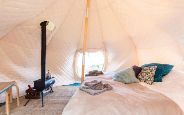 Free Canari - Los Alamos 8