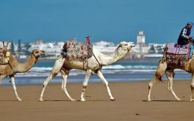 Dar L'Oussia