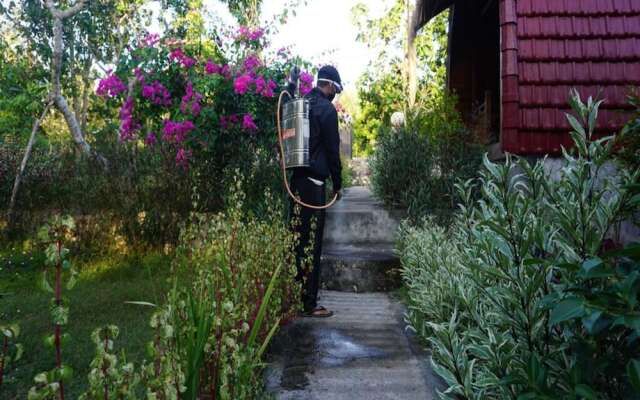 Bougainvillea Bungalow