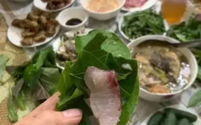 Nha Nghi Moon