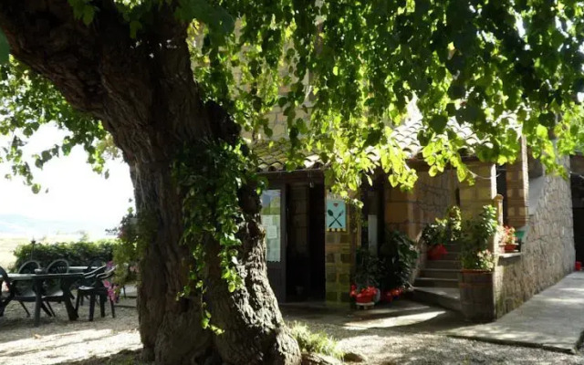 Mola Solis