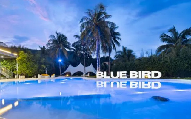Blue Bird·Infinity Pool Designer Ocean Villa (Riyuewan Store)Wanning – Pool – Wanning