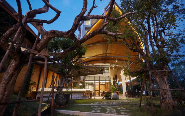 Whale Hua Hin