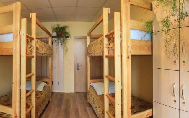 Domino Inn - hostel