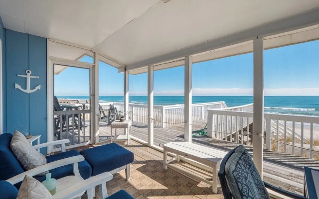 The Shark and the Seahorse