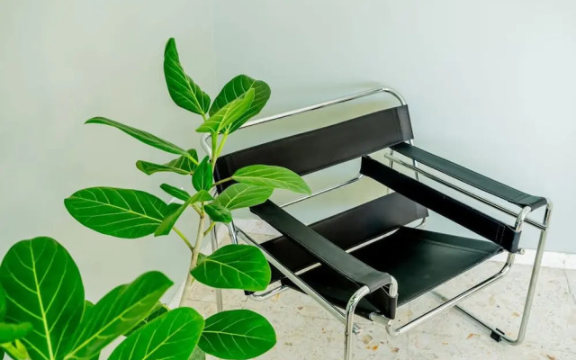 w Cozy 1BR in Casco Antiguo
