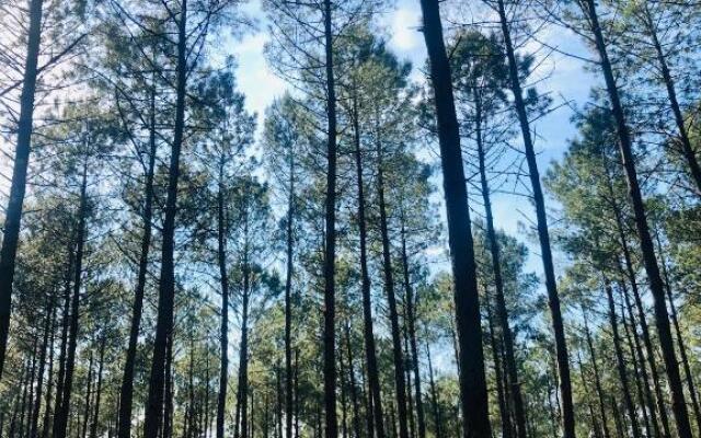 villa le faré - Piscine Chauffée - 8 Pers