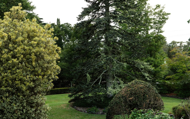 Comfort Resort Leura Gardens