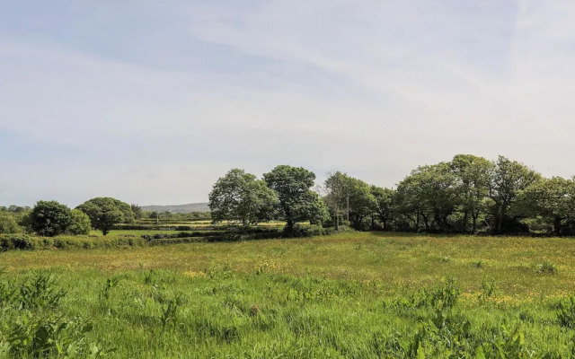 Tyddyn Parthle Pod 1