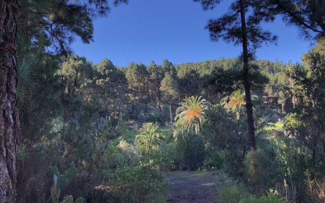 Casa Rural Monte Frío de Tenerife