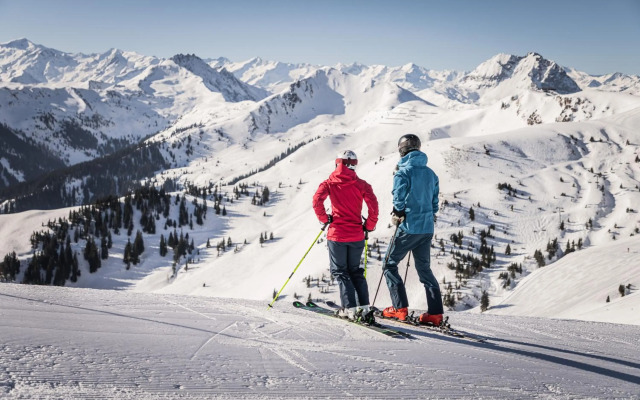 Apartment Sunnyside Premium by Alpine Host Helpers