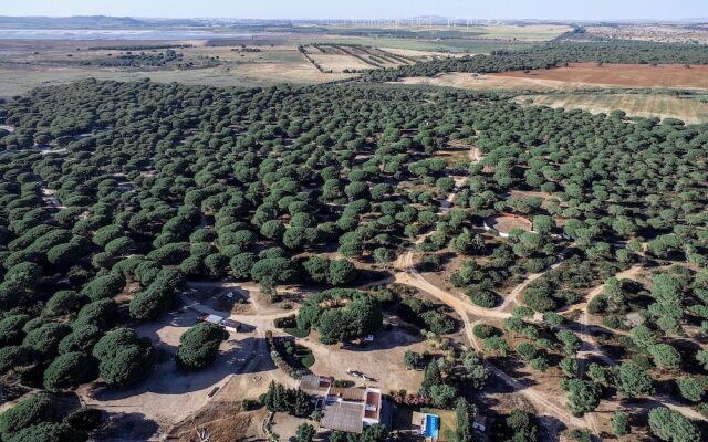 Casa de Campo Dehesa de las Yeguas