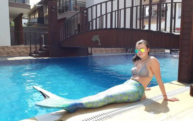 Dolphin Apart